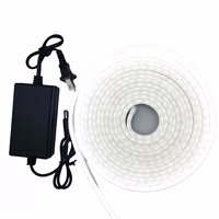 cinta led neon 5m