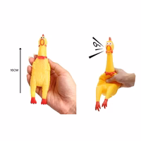 pollo chillon pequeno